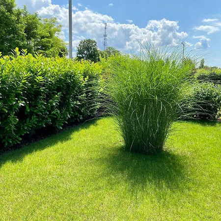 Дом отдыха Baboca - Siofok-sosto